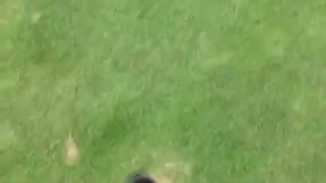 .When Your Friends Shooting For His First Eagle...