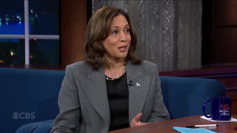 I m Not Joe Biden - What VP Kamala Harris Would Change If Elected President