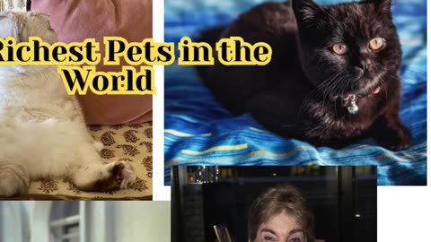 13 richest pets in the world