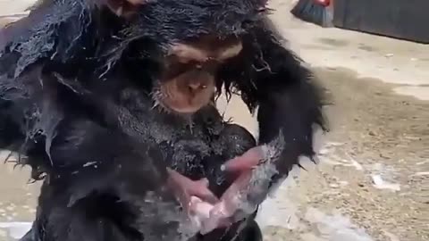 Nice guy