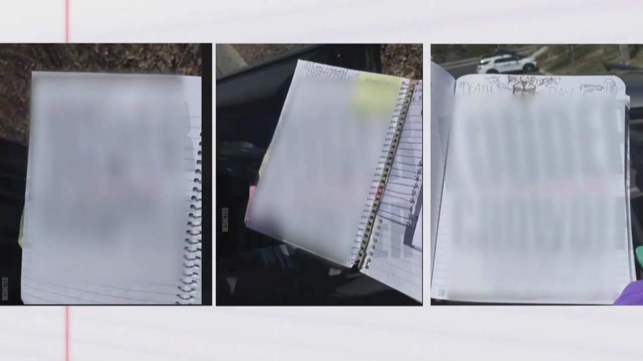 Tennessee Judge Blocks Release of Audrey Hale's Writings Amid Copyright Dispute
