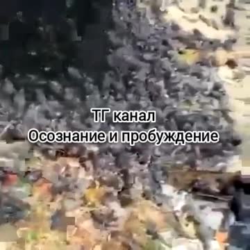 인도네시아 5G 도입으로 새 사망…