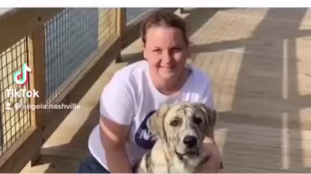 more covid vaccine deaths