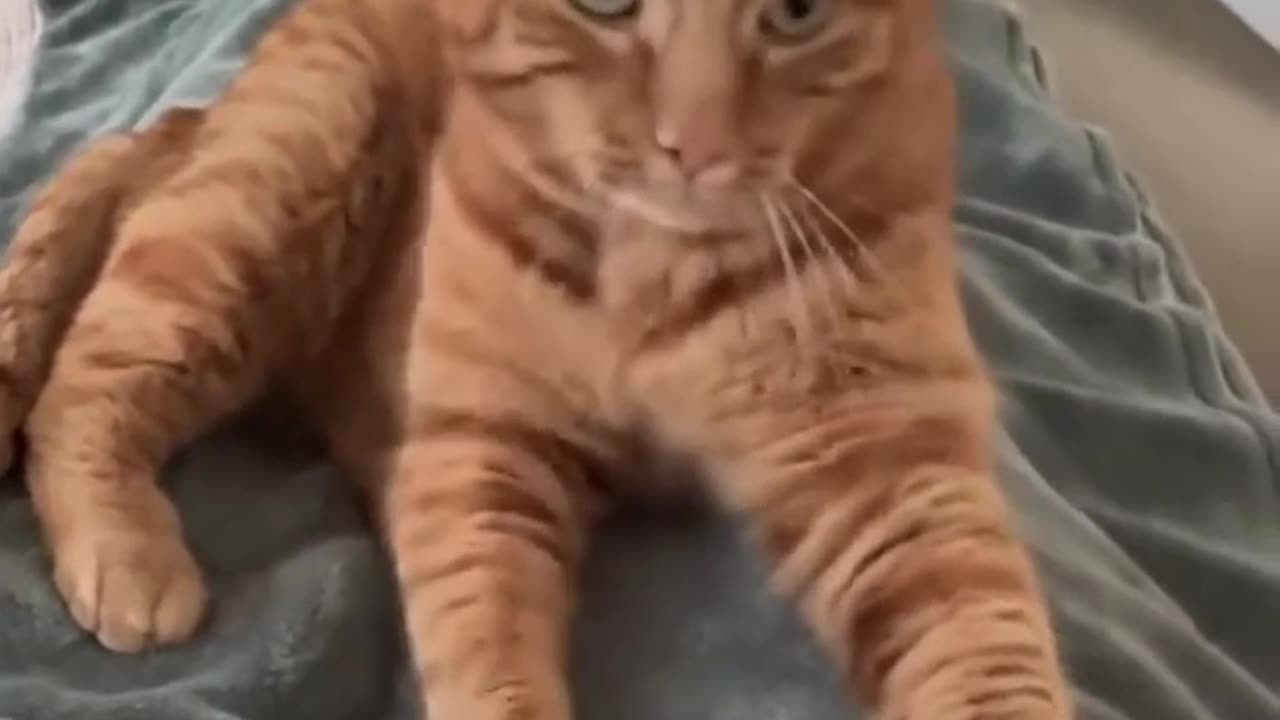 Don’t touch me I am still mad at you 😂