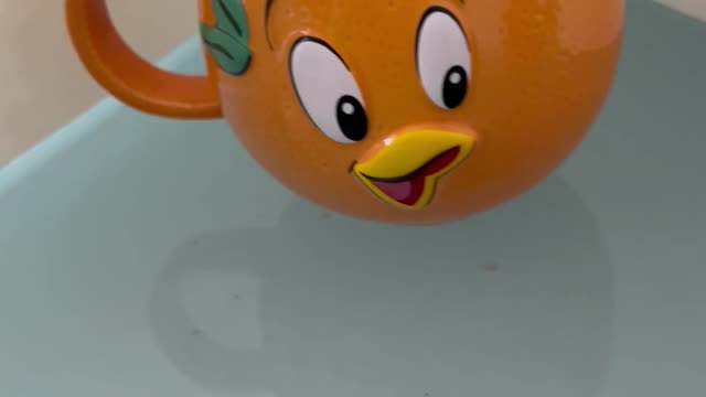 Walt Disney World Flower and Garden Festival Florida Orange Bird Ceramic Mug #shorts