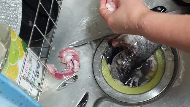 Preparing Korean Fish