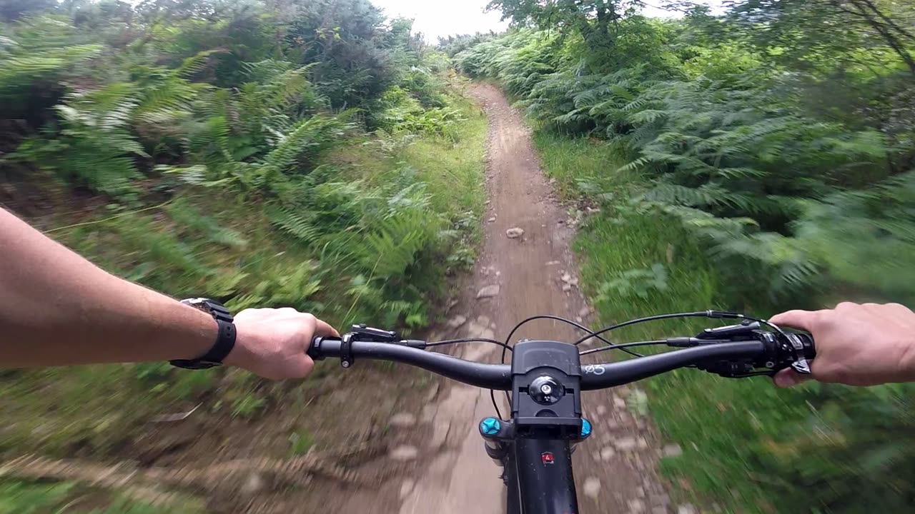 Cwmcarn Forest MTB - Twrch Trail - Odin - Full Run - 24 07 2023