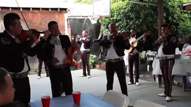 Amor Se Dice Cantando - Mariachi Mi Tierra Linda