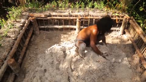 BUILDING A HOUSE IN THE BANBU FOREST