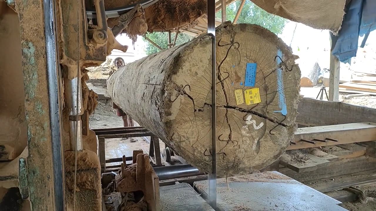 Horrified,,, The Form Of Large Meranti Wood Was Sawed With A Band Saw