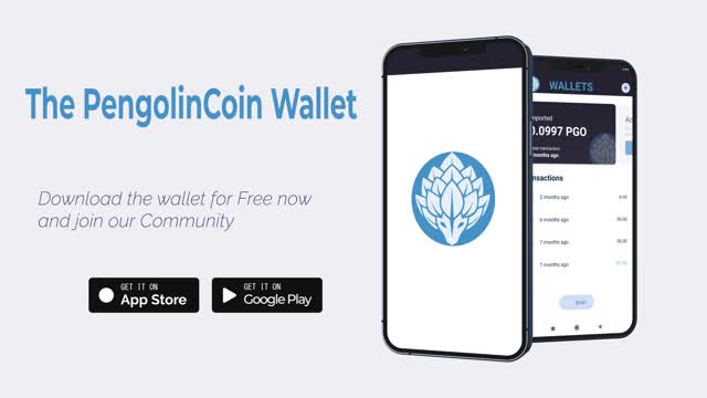 The P2P Blockchain PengolinCoin Wallet (English)