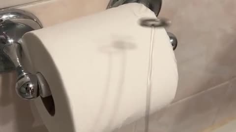 Always check hotel toilet paper