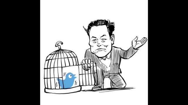 Twitter fly away Freebird-Thank you Elon Musk for believing in free speech You Sir are truly rare !