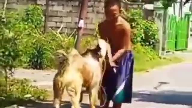 funny boy dance 2021