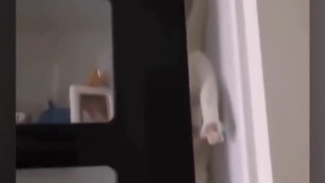 Hohoho soo funny