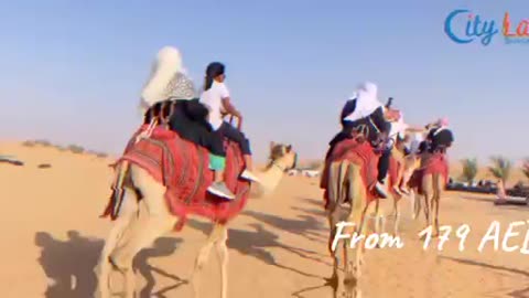 Top Desert Things To Do in 2024