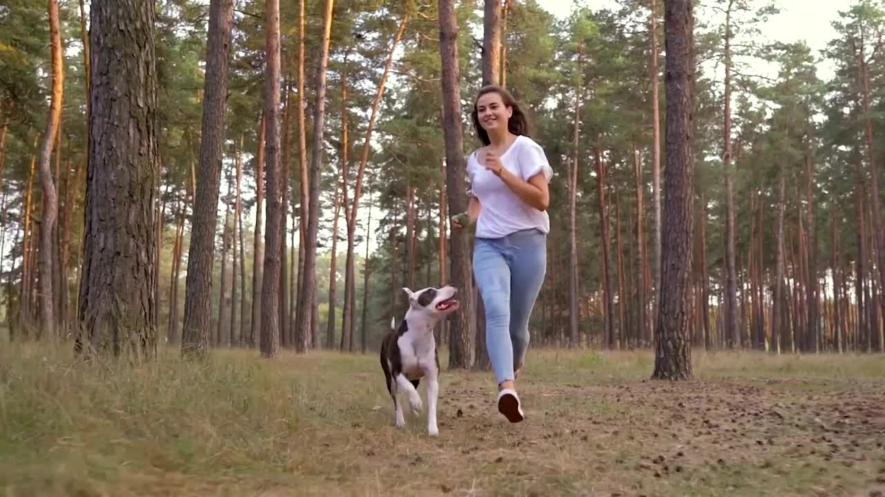 Girl playing with her dog in the forest at sunset. Slow motion