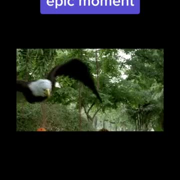 epic moment