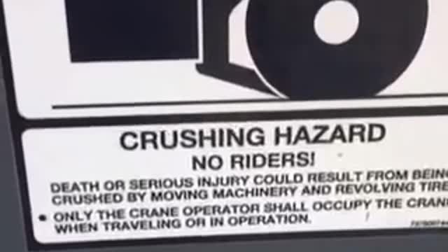 Cranes are Racist