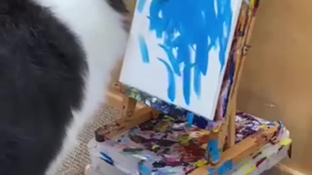 Doggo Picasso