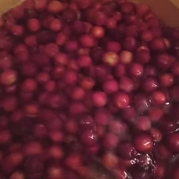Bath of the cherry plums