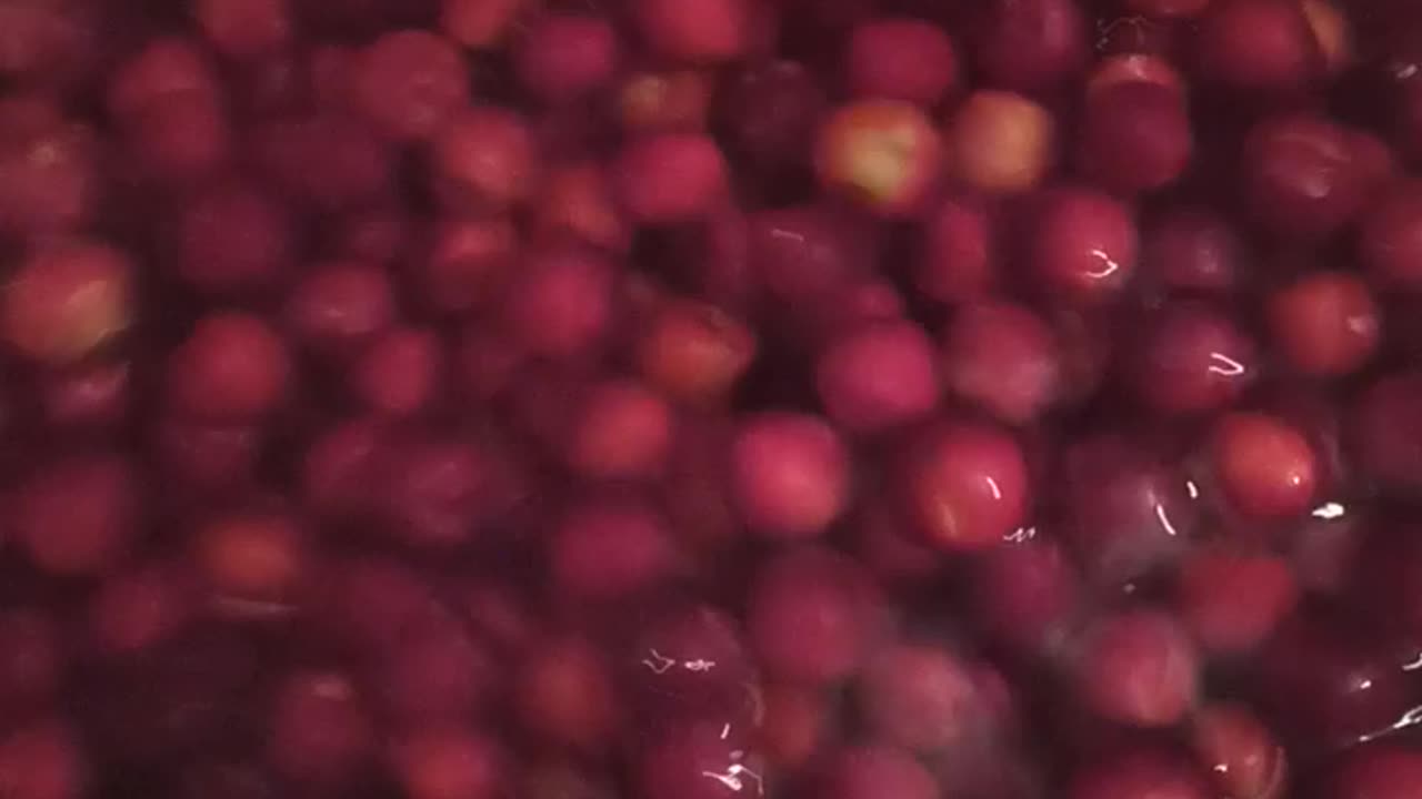 Bath of the cherry plums