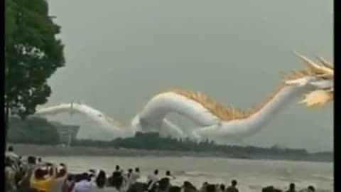 Tik tok chinese dragon!!!! Check it out!