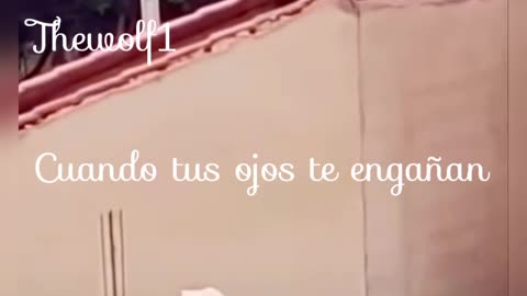 Mira bien ...
