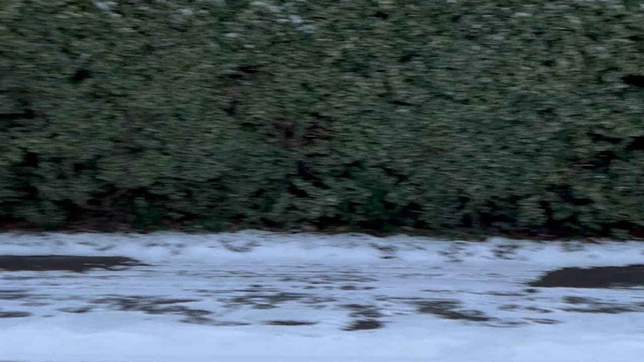 Early snow fall in Denmark 2023 november