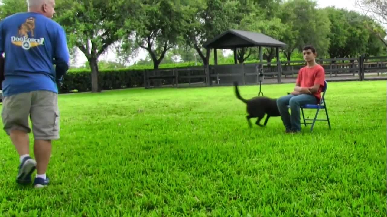 World's Most Skilled, Expensive Protection Dogs