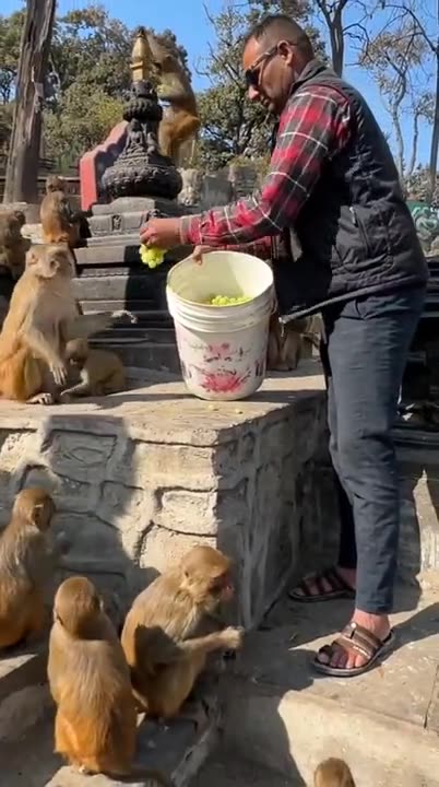 Everyone loves those tasty grapes