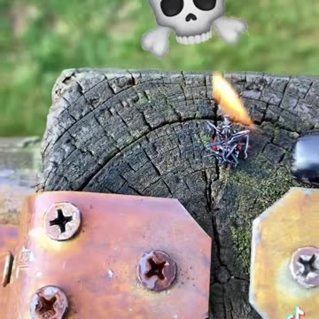 We REALLY dislike Lantern Flies