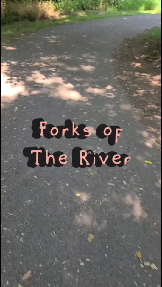 Forks of the river