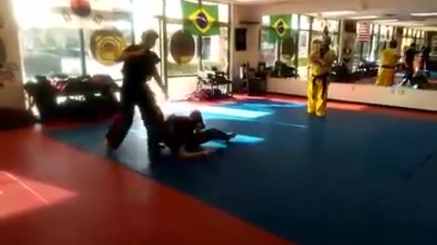 Hapkido