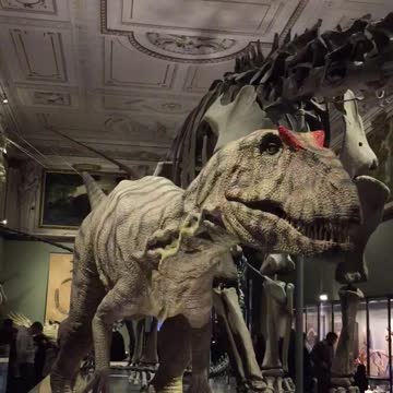 Super realistic velociraptor tries its best to scare everyone