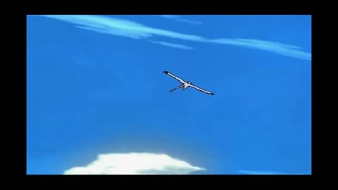 Yin Yang Flow Video: Spin Flip Dragon Flight Spin Flip Type 2