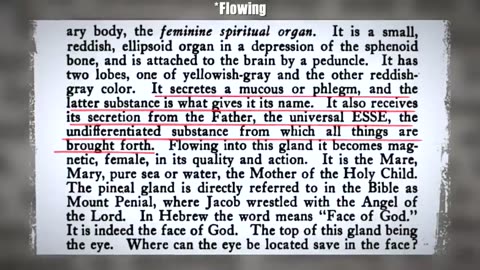 🥩 Meat~Solar Plexus~Bethlehem~Christ Within~ Mirrored