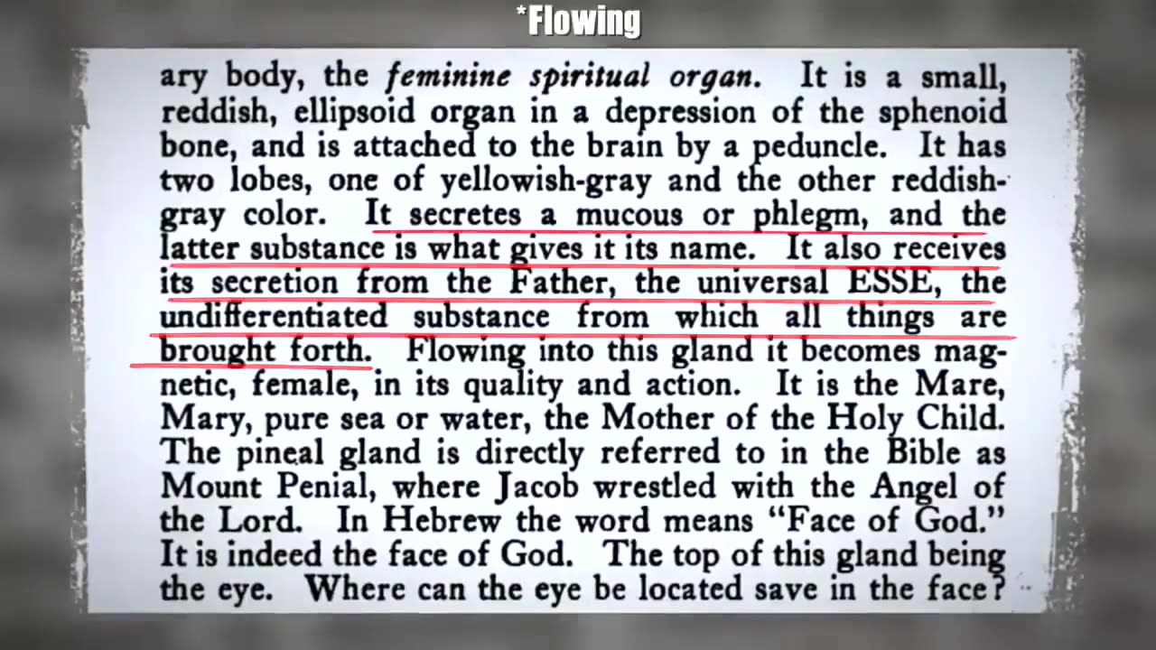 🥩 Meat~Solar Plexus~Bethlehem~Christ Within~ Mirrored