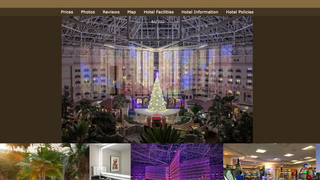 We Made The Most Delicious Cookies| Visit Gaylord's Palms Resort