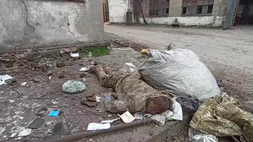 Τhe body of a senior sailor of the Ukrainian navy who was shot from behind, by his own