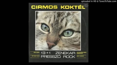 Cirmos Kormos ¬ Az alvilágnak nincs romantikája