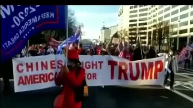 THE TRUMP MOVEMENT WORLDWIDE