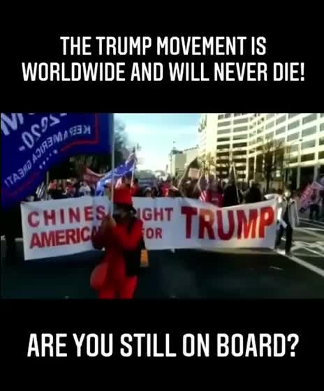 THE TRUMP MOVEMENT WORLDWIDE