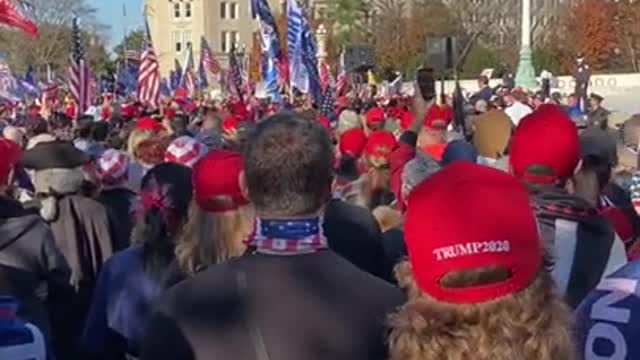 Million MAGA March Sebastian Gorka