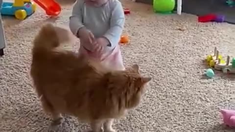 Adorable Fluffy Cat Helps Baby Take First Steps!!