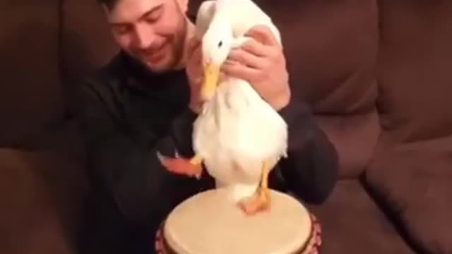 27.These are genuio put up, and your comments are hilarious. - Memes For You #Shorts