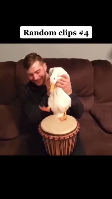 27.These are genuio put up, and your comments are hilarious. - Memes For You #Shorts