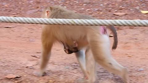 It's such a beautiful Face when Baby Rainbow wakes Up