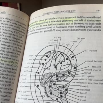 what is the best location for conductive piercings?