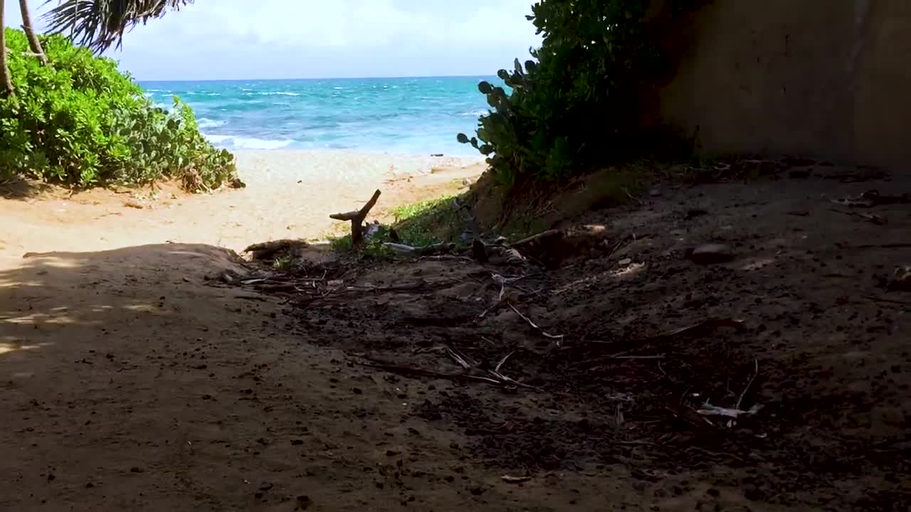 Beautiful Sri Lanka Beach - 3